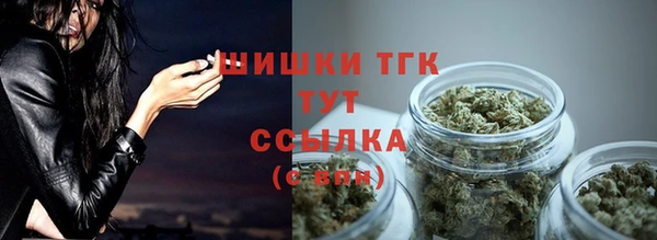 тгк Аркадак