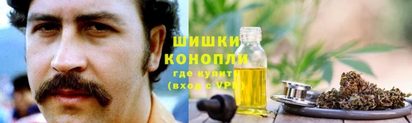тгк Аркадак